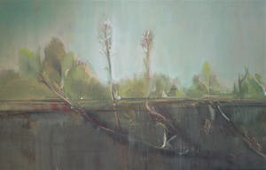 Irene van den Bos - The Lake kopen? Bied vanaf 85!