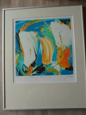 JAS - Zeefdruk, Orange Favorite - Ingelijst kopen? Bied vanaf 35!