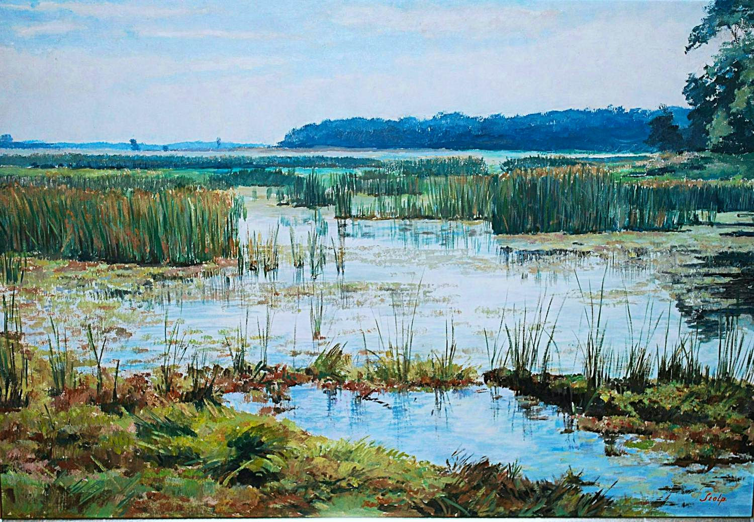 Simon Stolp - Het Naardermeer - groot olieverfschilderij - mooi ingelijst kopen? Bied vanaf 150!