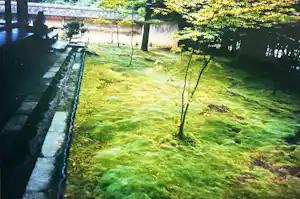 JCJ VANDERHEYDEN - Japanse mostuin (Ryoan-Ji, Kyoto) | 1996 vendu pour 100€ !