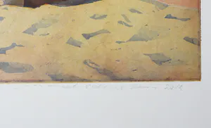 Marcel Schellekens - Kleurenets, Z.T. Op het strand (Groot) kopen? Bied vanaf 120!