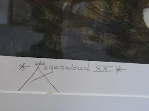 Rob Clous - Regenwoud XX kopen? Bied vanaf 275!