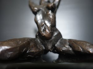 Natasja Bennink - Schitterend erotisch naakt. kopen? Bied vanaf 475!