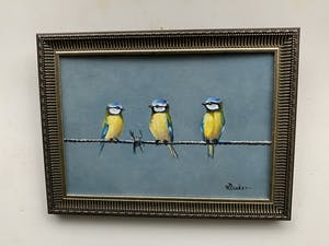 Henk Poeder - Pimpelmeesjes kopen? Bied vanaf 89!