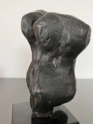 Brons (Onbekend) - Torso man vrouw kopen? Bied vanaf 169!