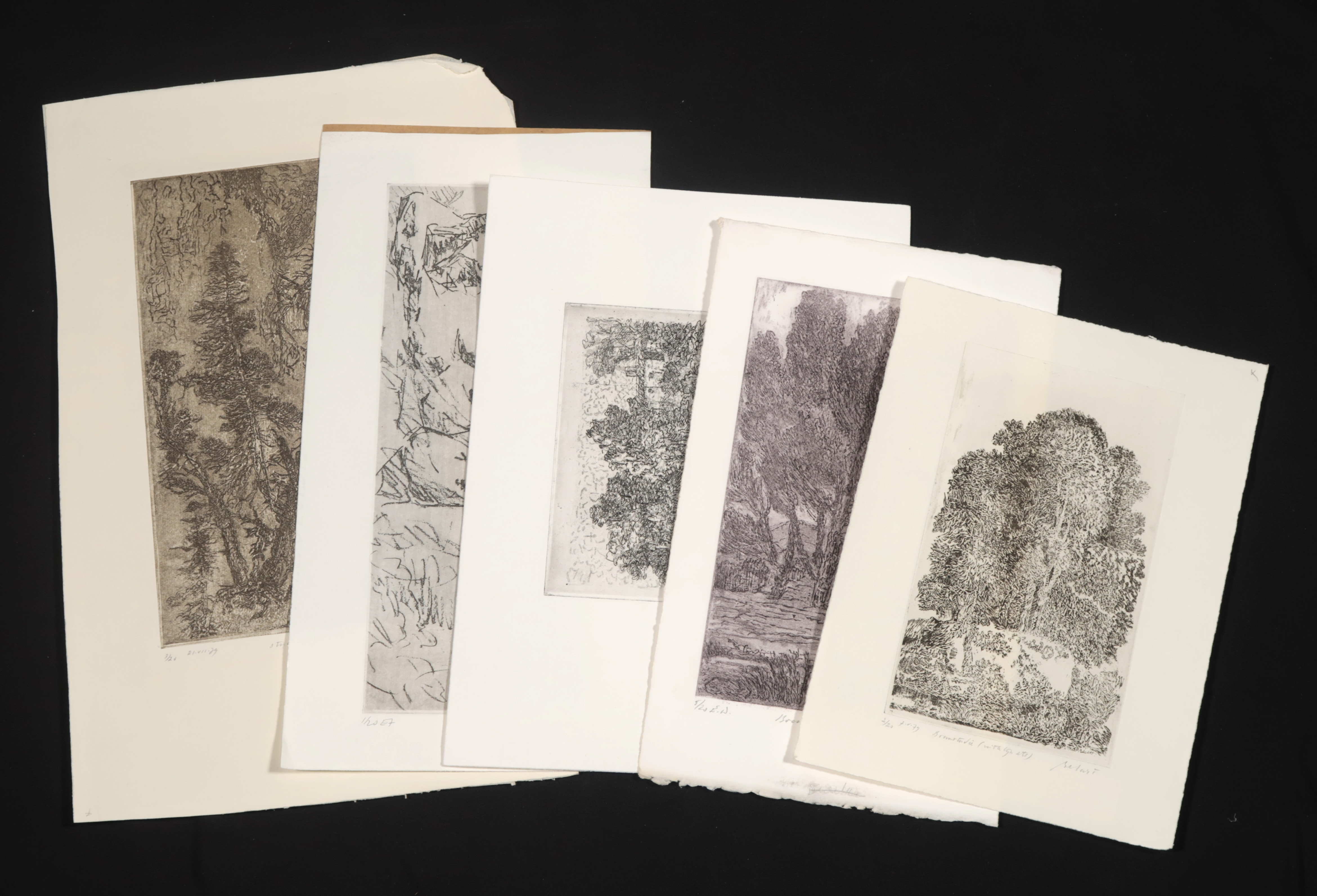 Gerard Bellaart - Lotje (B) met 5 etsen op papier kopen? Bied vanaf 1!