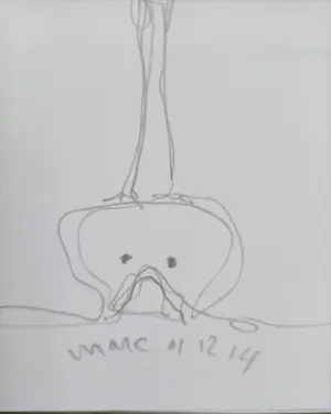Marc Mulders - Secret Garden (gesigneerd en met originele tekening) kopen? Bied vanaf 70!