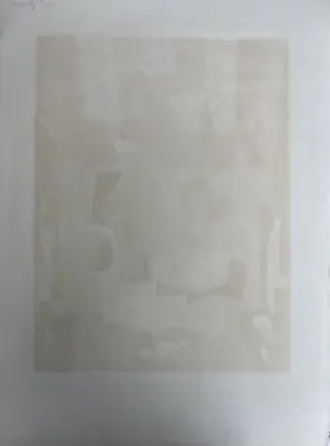 Tony Agostini - Gesigneerde kleurenlitho - 67/175 kopen? Bied vanaf 95!