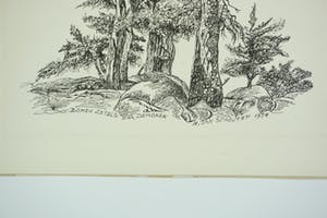 Jan Schouten - Bomen zetels der demonen - pentekening - 1974 kopen? Bied vanaf 75!
