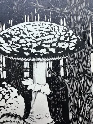 Maurits Cornelis Escher - Paddenstoel kopen? Bied vanaf 1250!