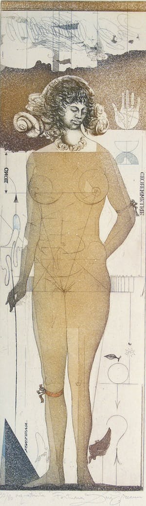 Dan Erceanu - Fortuna kopen? Bied vanaf 39!