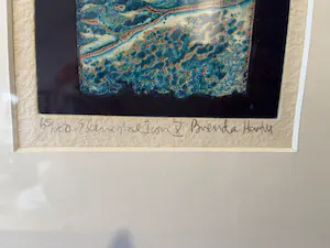 Brenda Hartill - Elemental Icon X kopen? Bied vanaf 10!