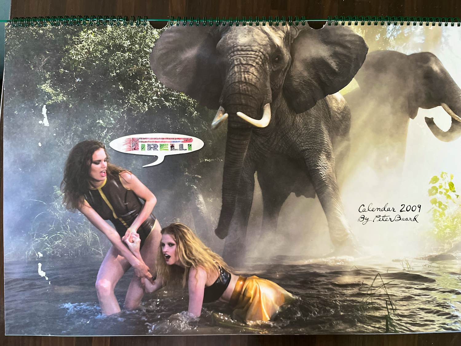 Buy Peter Beard - Pirelli kalender 2009? Bid from 45!