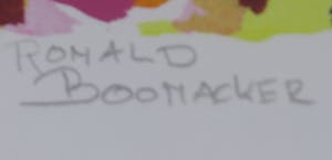 Ronald Boonacker - Zeefdruk, Bonaire - Ingelijst (Groot) kopen? Bied vanaf 100!