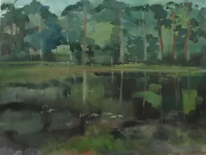 Niet of onleesbaar gesigneerd - Gesigneerde aquarel , Bosgezicht aan het water – Ingelijst , 59 x 74 cm. kopen? Bied vanaf 10!