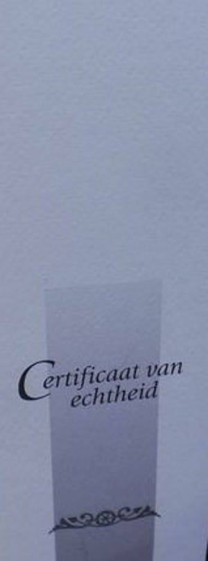 Jos Gielen - Twee levens in één gesmolten - Beeld Brons kopen? Bied vanaf 149!