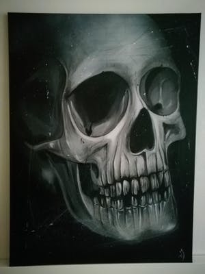 Niet of onleesbaar gesigneerd - Skull kopen? Bied vanaf 10!