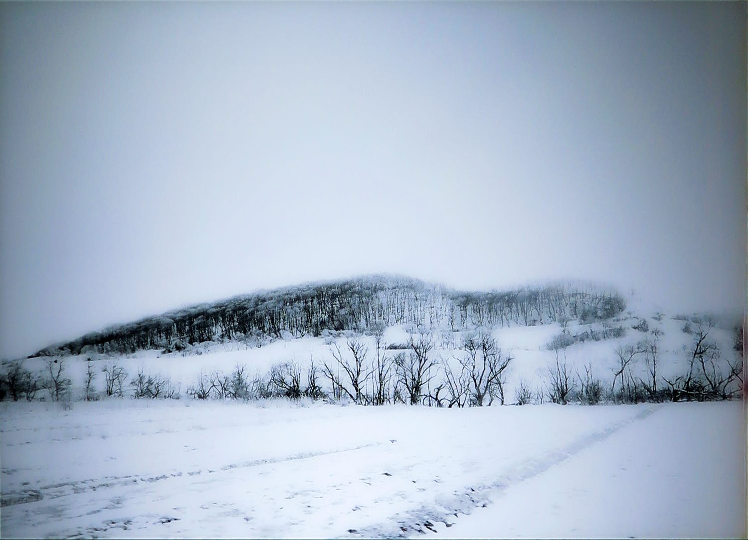 Andrei Petrescu - C-print op dibond, Asleep (Groot) kopen? Bied vanaf 1!