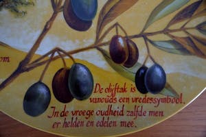 Curiosa - 6 exclusive original design plates Dutch Art - made by René vd Heijden kopen? Bied vanaf 1!