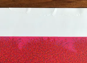 Bernd Berner - Gesigneerde kleurenlithografie - 1971 - 1/100 kopen? Bied vanaf 115!