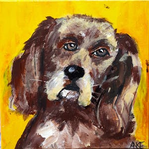 Anke Peddemors - Hond. kopen? Bied vanaf 15!