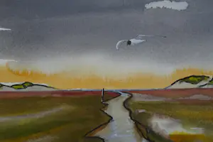 Franklin Meijer - Texel - de Slufter kopen? Bied vanaf 30!