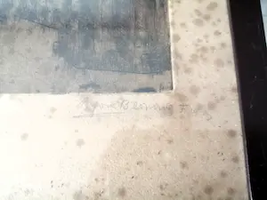 Alfons Blomme - Basiliek Venetië kopen? Bied vanaf 50!