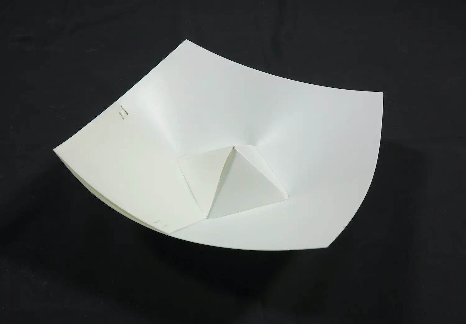 Rineke van Rijt (1953)