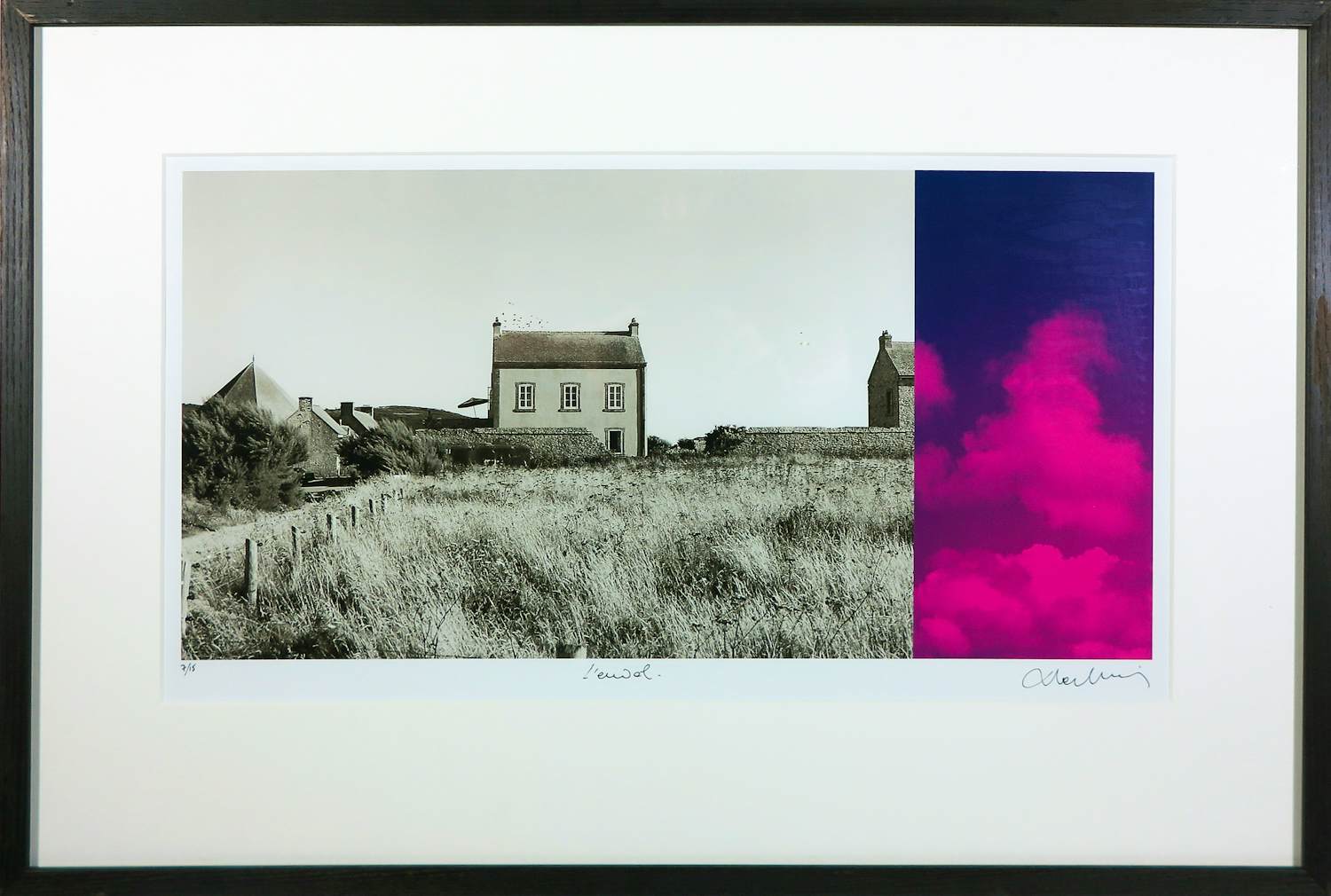 Francois Berthier - Fotografie, I'Envol- Ingelijst verkocht voor € 40!