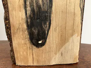 Emile van der Kruk - Greyhound kopen? Bied vanaf 1!