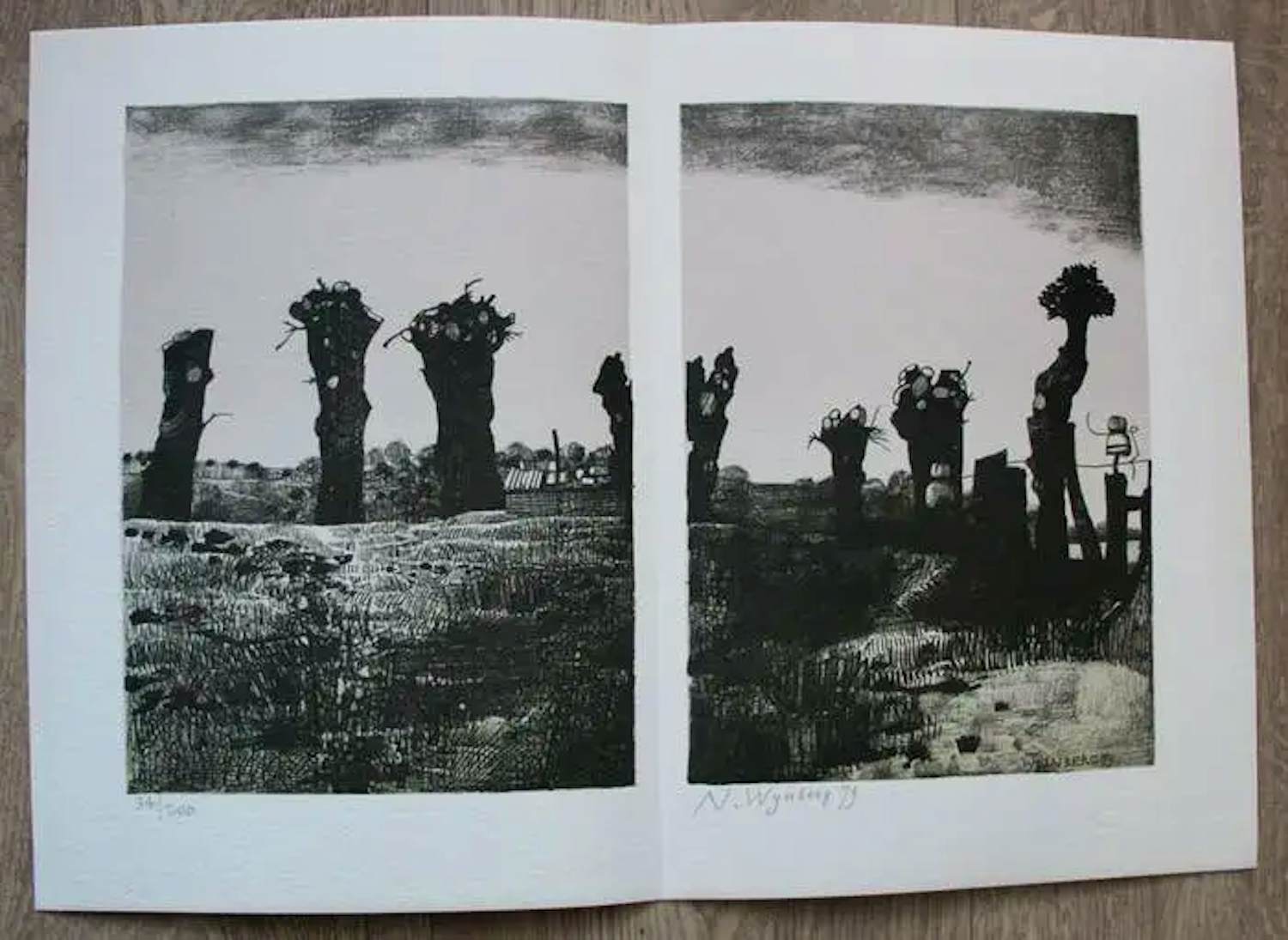 Nicolaas Wijnberg - Litho kopen? Bied vanaf 55!