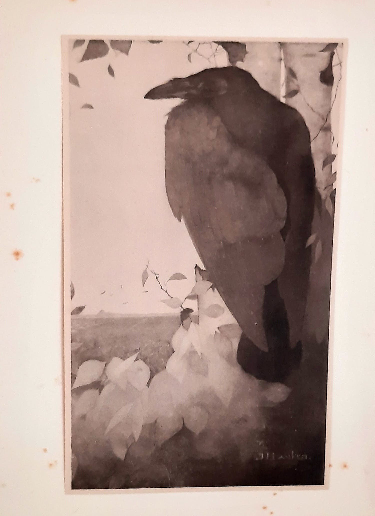 Jan Mankes - Raaf op Berkeboom kopen? Bied vanaf 1!
