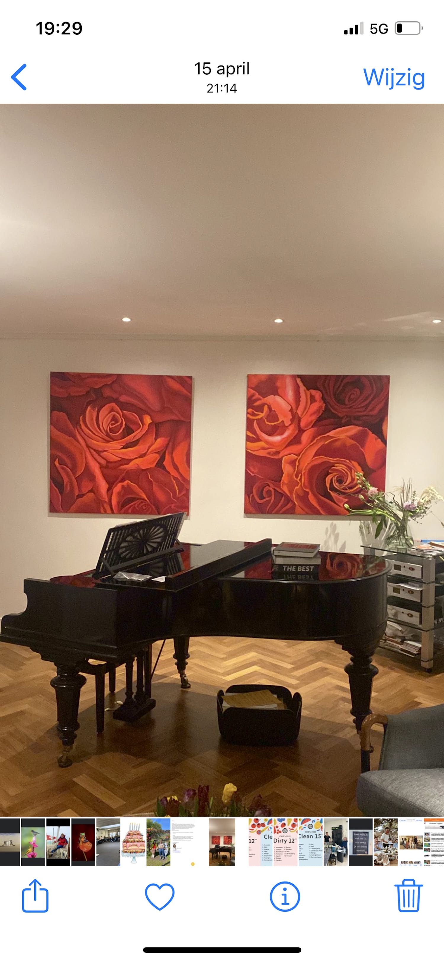 Alice Pool - Rozen kopen? Bied vanaf 650!