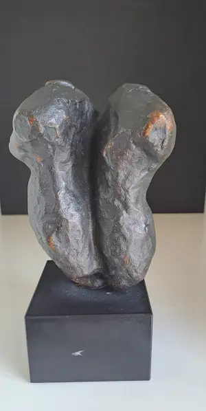 Susanne den Hoed - Torso man en vrouw kopen? Bied vanaf 120!