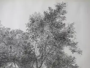 Jaap Kruijff - Landschap met volle boom - Litho kopen? Bied vanaf 25!