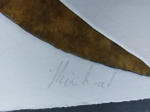 Reinhoud D'Haese - kleurenets - handgesigneerd - oplage 40 stuks - CoBra - ingelijst kopen? Bied vanaf 150!