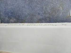 Marcel Schellekens - Koi karpers kopen? Bied vanaf 300!