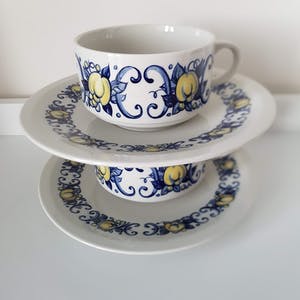 Villeroy & Boch - Tweemaal kop & schotel, serie Cadiz, zeer goede staat! 70s/80s kopen? Bied vanaf 10!