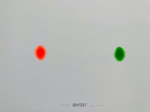 Peter Jordaan - SEHTEST kopen? Bied vanaf 45!