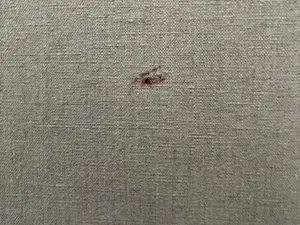 Sjer Jacobs - Man and Woman kopen? Bied vanaf 250!