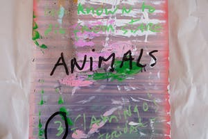 Fred Michiels - Zoo animals have been known to die from stares (3 flamingo's) kopen? Bied vanaf 150!