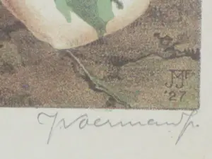 Jan Voerman (jr.) - Bosanemoontjes - Kleurenlitho kopen? Bied vanaf 60!