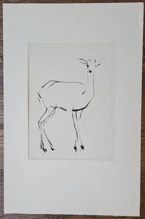 Nico Molenkamp - Hert - handgesigneerde inkttekening kopen? Bied vanaf 150!