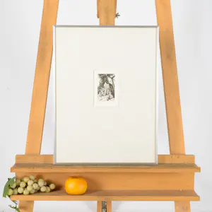 Ton de Kruyk - Kippenhok kopen? Bied vanaf 20!