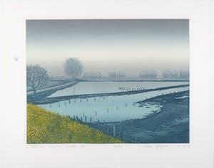 Hans Heijman - Kleurenets, Taal van land en water A kopen? Bied vanaf 1!