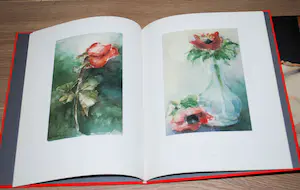 Fon Klement - 2x hardcover boeken kopen? Bied vanaf 50!