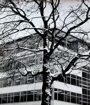 Cas Oorthuys - Foto verkocht voor € 69!