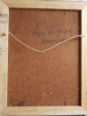 Ans Woldringh - Bloemen kopen? Bied vanaf 30!