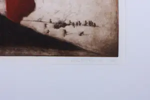 Ronald Tolman - Ets op papier, Zuid Afrika - Ingelijst kopen? Bied vanaf 70!