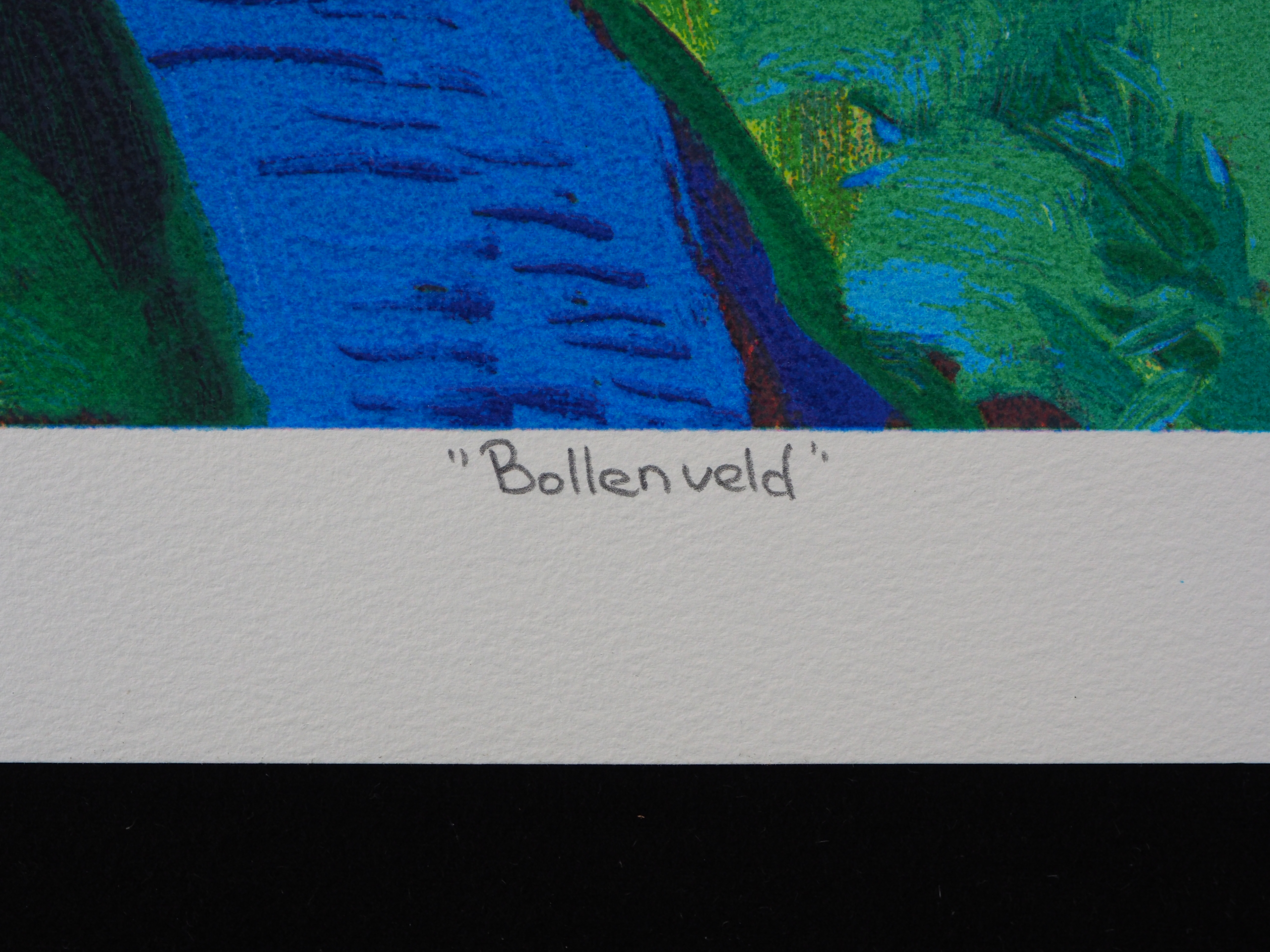 Jentsje Popma - Bollenveld kopen? Bied vanaf 50!